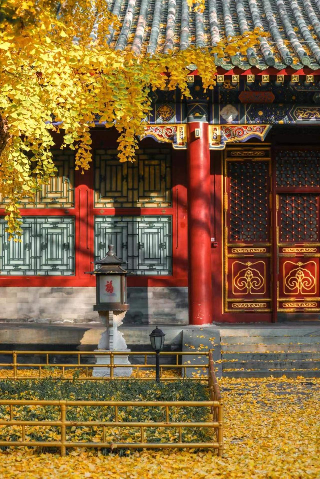 Nostalgia Hotel Near Prince Gong'S Mansion- Beihai Park, Tian'Anmen Square, Nanluoguxiang Hutong, Huguosi Hutong Snack Street, 5 Minutes Walk Away From Ping'Anli Subway Station, Free Ice Cream And Laundry Service,English Communication Well Πεκίνο Εξωτερικό φωτογραφία